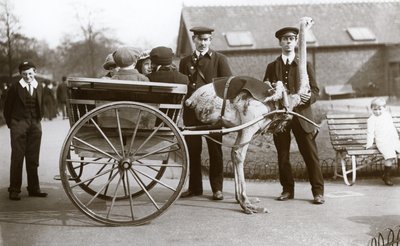 An Ostrich Cart Ride with Children and Keepers George Blore and William Dexter at London Zoo by Frederick William Bond